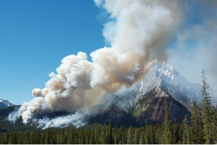 نقش چشمگیر فعالیت‌ های انسانی در افزایش آتش سوزی جنگل ها