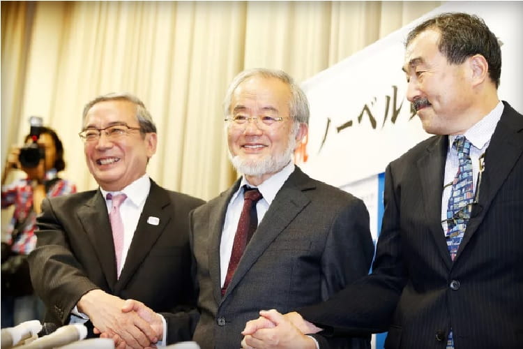 نوبل پزشکی ۲۰۱۶ به دانشمند ژاپنی رسید