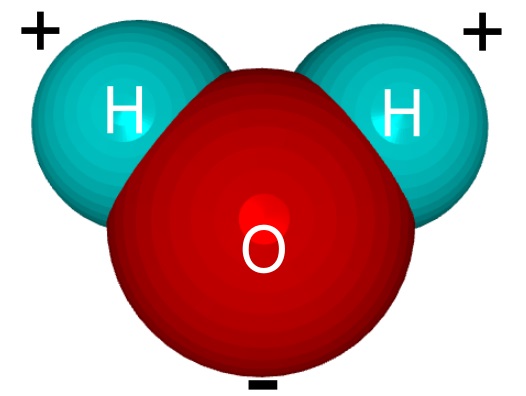 ساختار آب پیوند هیدروژنی