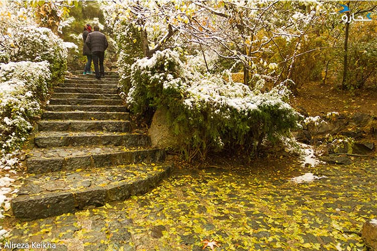 پارک جمشیدیه، مکانی برای دیدن زیباترین مناظر پاییزی (قسمت اول)