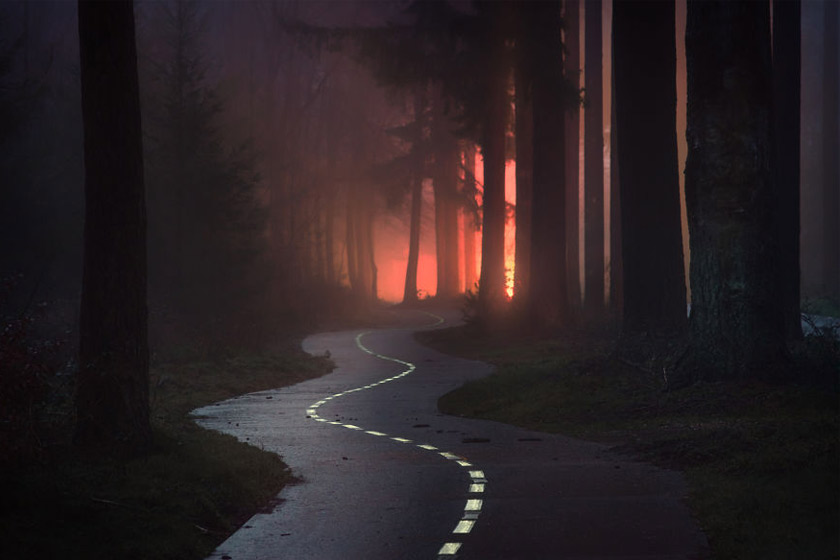 پروژه های عکاسی: جادوی جنگل‌های هلندی