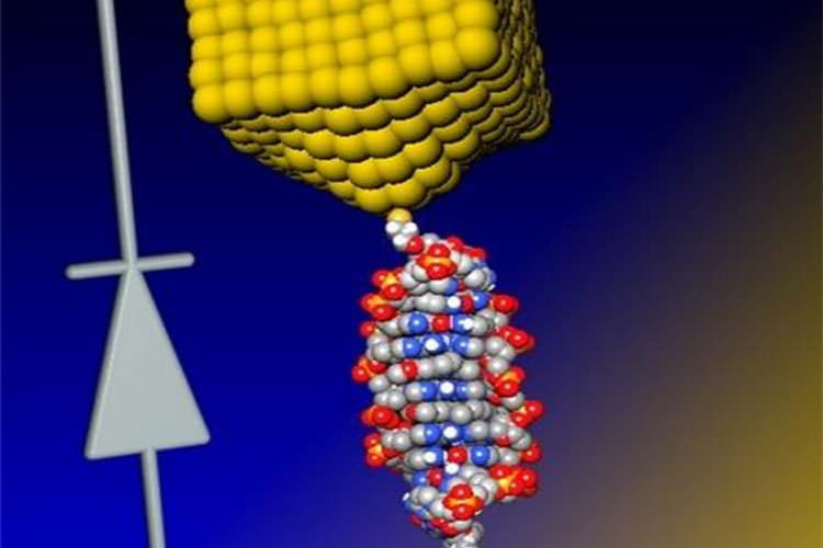 کوچکترین دیود جهان تنها با استفاده از یک مولکول DNA ساخته شد