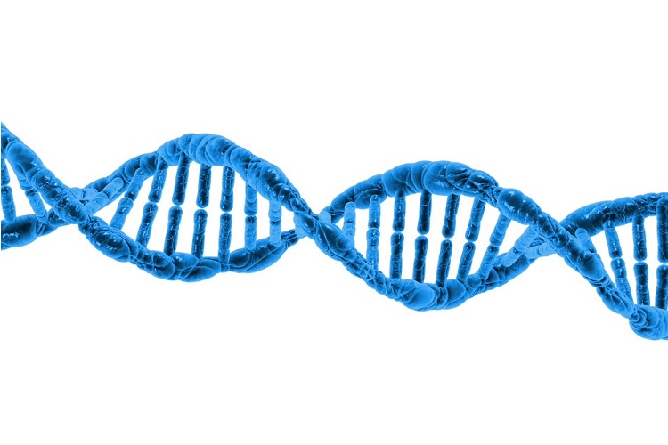 آیا بشر می‌تواند با مهندسی ژنتیک روی مسیر طبیعی تکامل موثر باشد؟ (بخش سوم و پایانی)