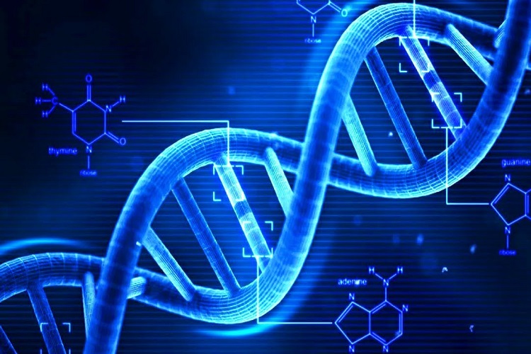 آیا بشر می‌تواند با مهندسی ژنتیک روی مسیر طبیعی تکامل موثر باشد؟ (بخش اول)