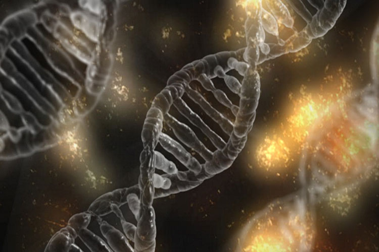 دانشمندان به بازنویسی کد ژنتیکی حیات نزدیک شده‌ اند