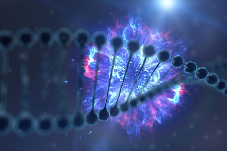 امکان ساخت هارد دیسک های بسیار بهینه تر با استفاده از مولکول DNA