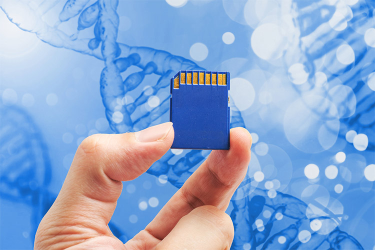 ذخیره سازی اطلاعات در DNA، راهی اجتناب‌ناپذیر به سوی آینده