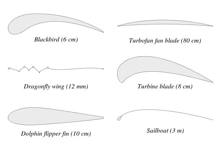 Examples of Airfoils