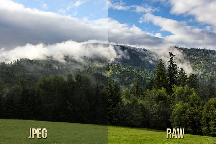 JPEG در مقابل RAW: راهنمای جامع برای عکاسان