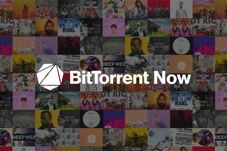 فعالیت BitTorrent Now با اخراج مدیران عاملش متوقف شد
