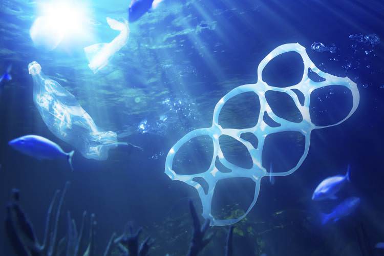 تا سال ۲۰۵۰، زباله‌های پلاستیکی از جمعیت ماهی‌ها بیشتر می‌شوند