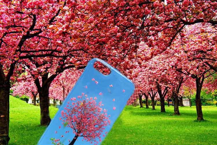 تلفیق دوست داشتنی بهار و قاب موبایل