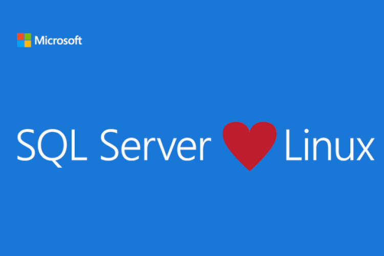درخواست 8 هزار شرکت برای نصب Microsoft SQL Server بر روی لینوکس