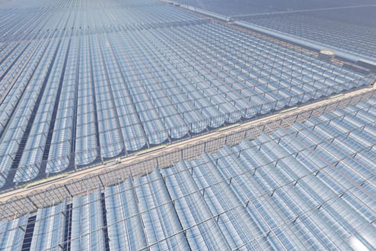 تماشا کنید: یکی از بزرگ ترین مزارع انرژی خورشیدی جهان برای استخراج نفت در عمان ساخته می‌شود