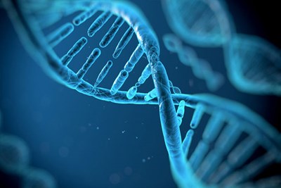 محققان موفق به قطع ویروس HIV از بدن موش ها شدند