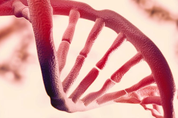 الگوی متفاوت چین خوردگی رشته های DNA، عاملی دیگر برای تعیین مشخصات فردی است