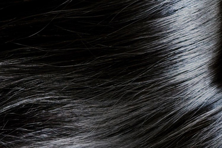 ۹ اشتباه رایج که باعث می‌شود موهای شما چرب به نظر برسد