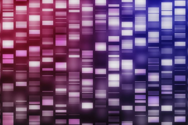 بررسی عملکرد ژن‌ های مرتبط با آلزایمر