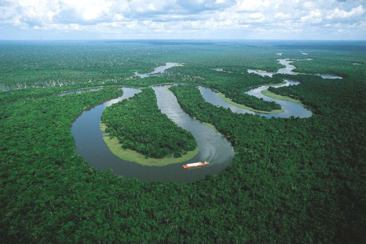 پرسش های بزرگ: چرا پیدا کردن سرچشمه رود آمازون آسان نیست؟