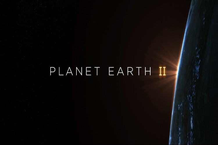 مستند سیاره زمین 2؛ ثبت تصاویر شگفت‌انگیز با استفاده از فناوری‌ های نوین