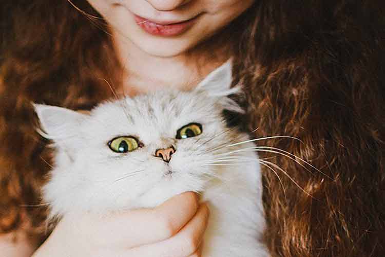 ژن حیوان دوستی؛ دلیل علاقه ما به حیوانات خانگی