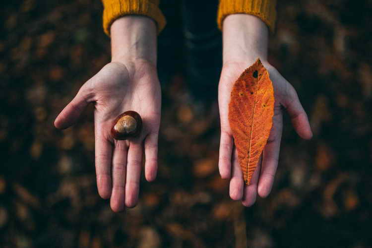 چگونه میتوان در وفور زندگی کرد؟