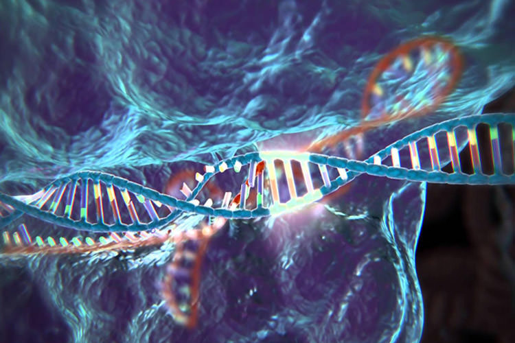 نگاشت جهش های DNA با کمک روشی انقلابی و مبتنی بر کریسپر در پردازش تصویر