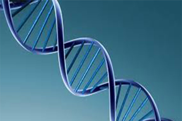 الگوي فعال شدن ژن ها در DNA افراد جوان و پیر متفاوت است