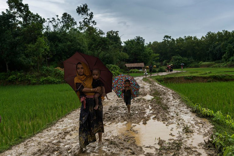 پناهجویان میانمار / myanmar refugees