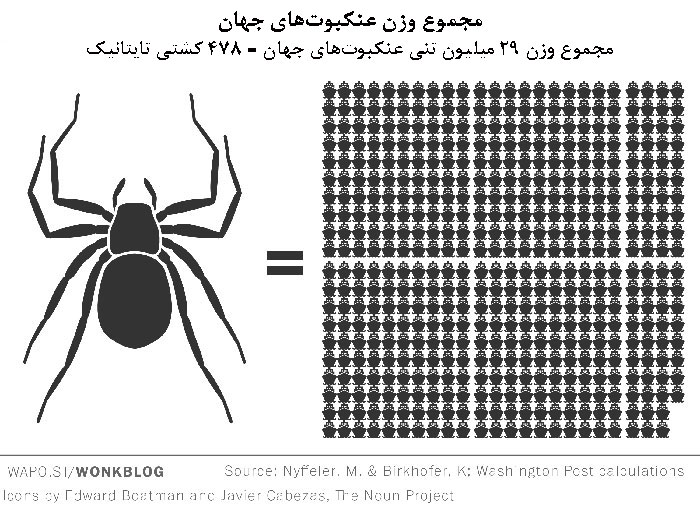 عنکبوت ها