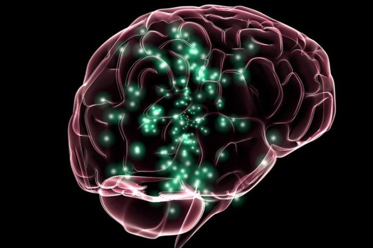 دانشمندان یک گام به سوی درمان آسیب‌ مغزی نزدیک‌تر شده‌اند