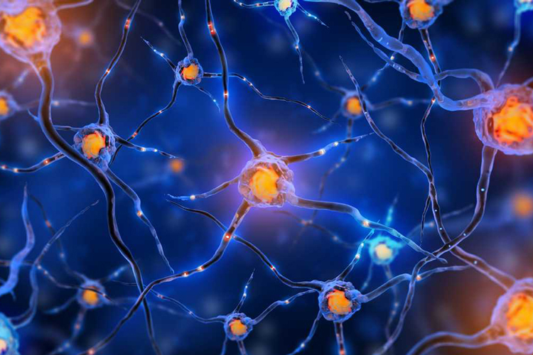 ابداع روشی جدید برای احیای سلول‌ های عصبی آسیب دیده با استفاده از الکتریسیته