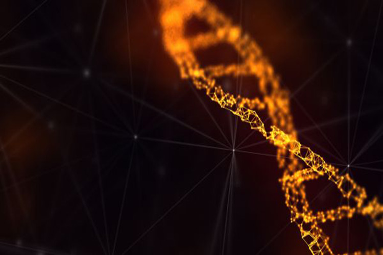 ساخت یک ژنوم کاملا مصنوعی توسط دانشمندان