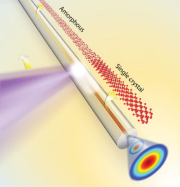 single crystal fiber