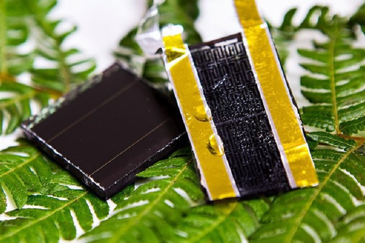 ساخت سلول خورشیدی به ظرفیت ۳۰ برابر با الهام از ساختار گیاهان 