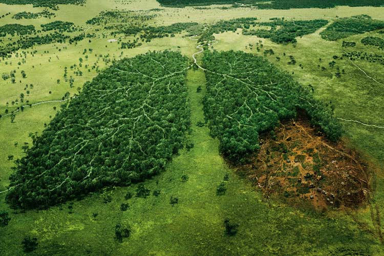تخریب محیط زیست به دست بشر