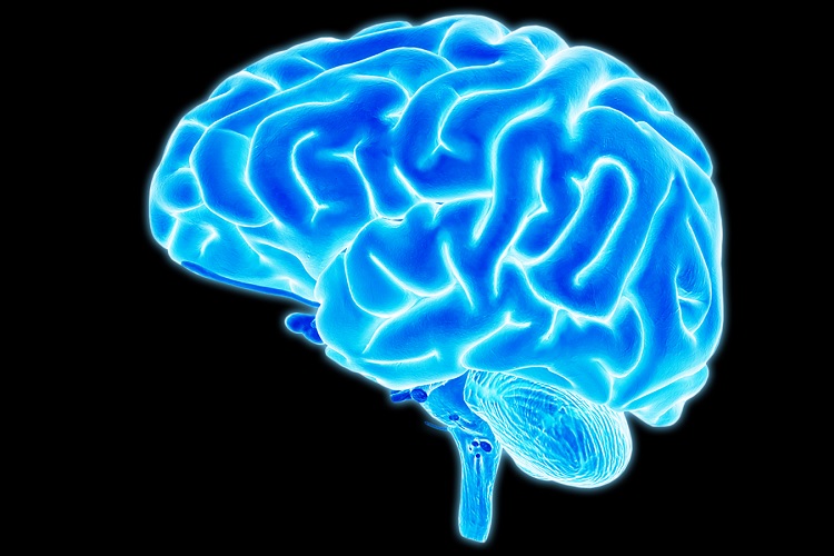 شناسایی نورون مرتبط با احساس خودآگاهی در مغز انسان