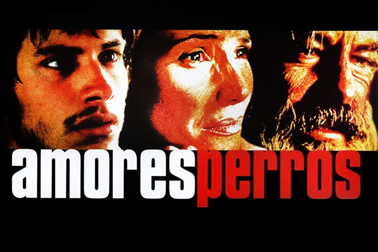 آخر هفته فیلم چی ببینیم؛ Amores Perros اولین تجربه کارگردانی ایناریتو