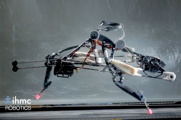 تماشا کنید: ربات شتر مرغ که بدون استفاده از سنسور، تعادل خود را حفظ می‌کند