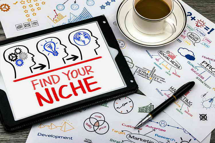 find your niche