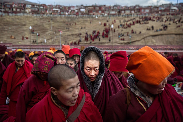 آیا از قوانین تبت چیزی می دانید؟