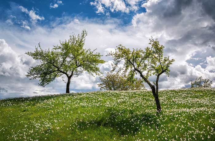 زومیت - اخبار تکنولوژی