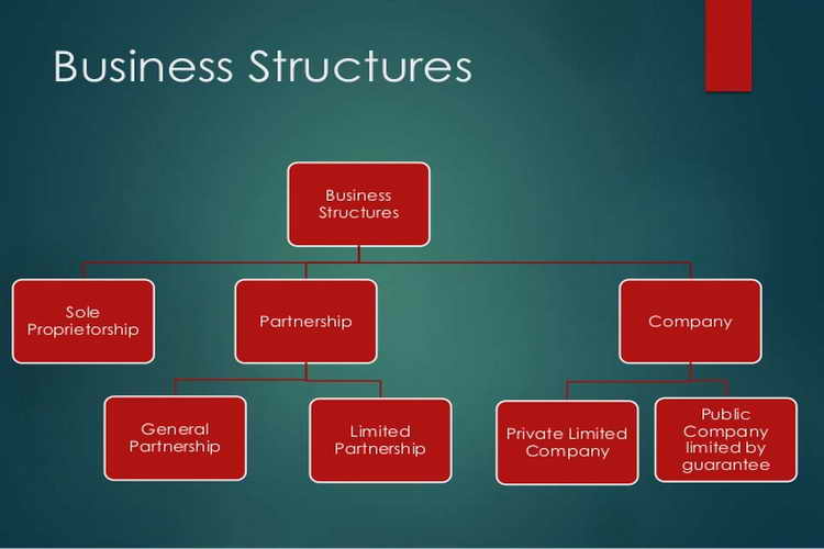 Create the structure for your business