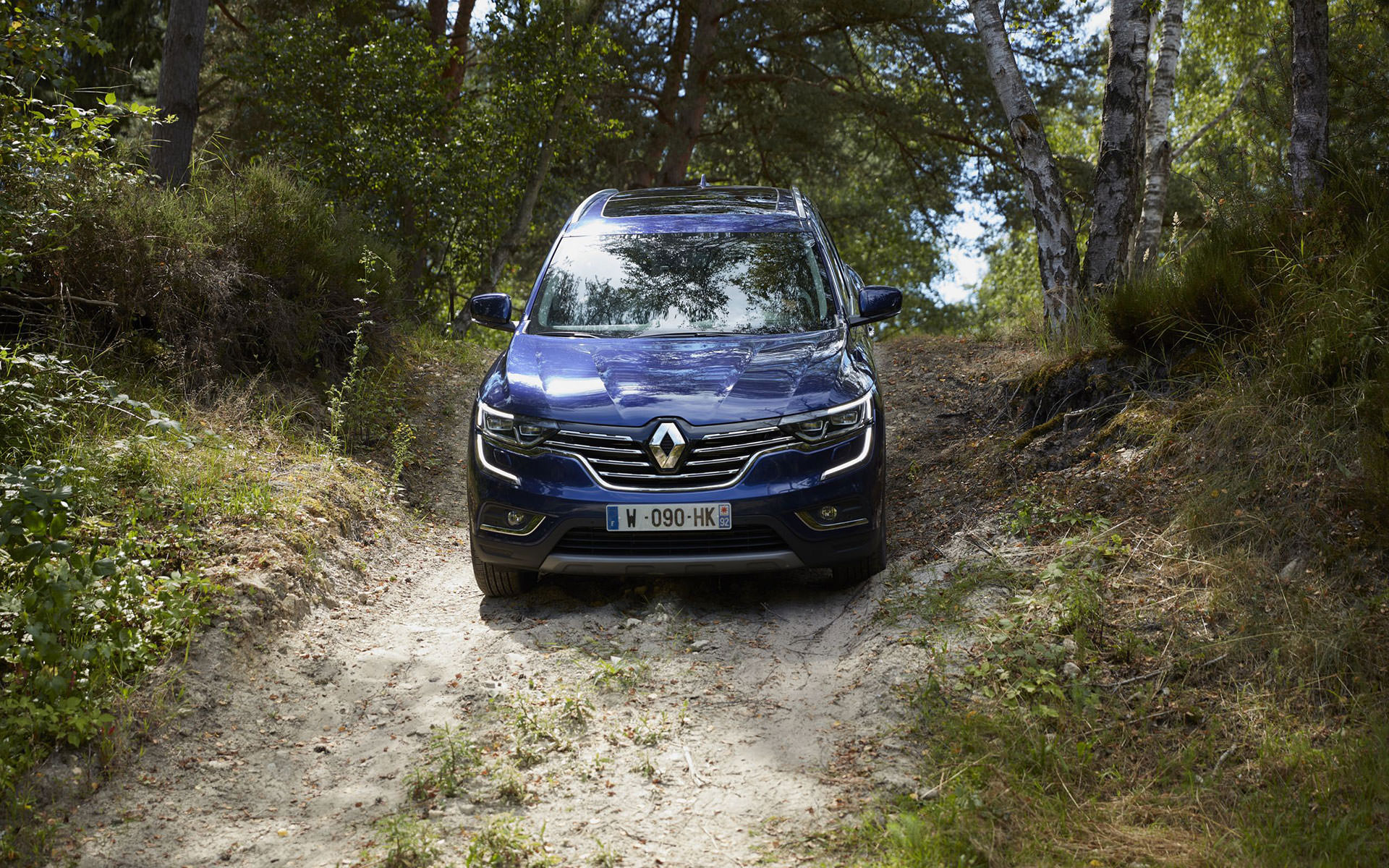 Renault koleos фото