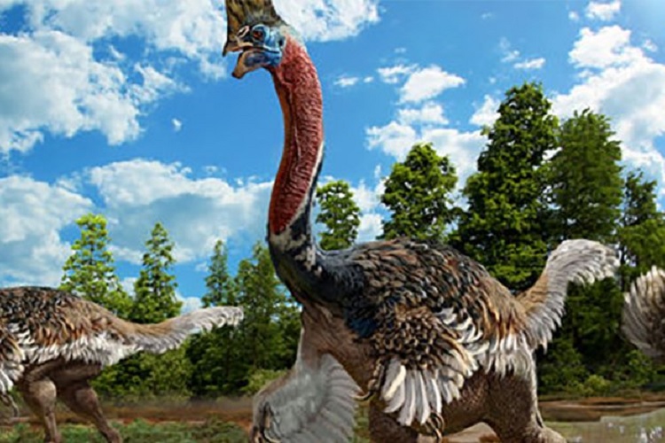 کشف دایناسوری جدید با شباهت فوق العاده به پرندگان امروزی