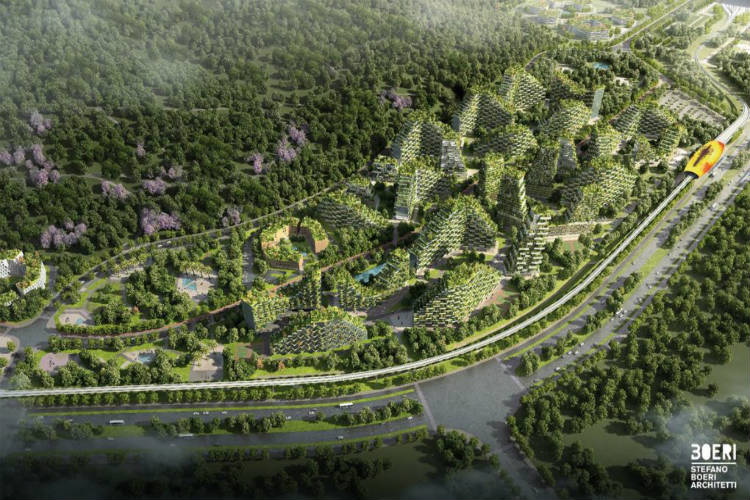 چین اولین شهر جنگلی جهان را می‌سازد