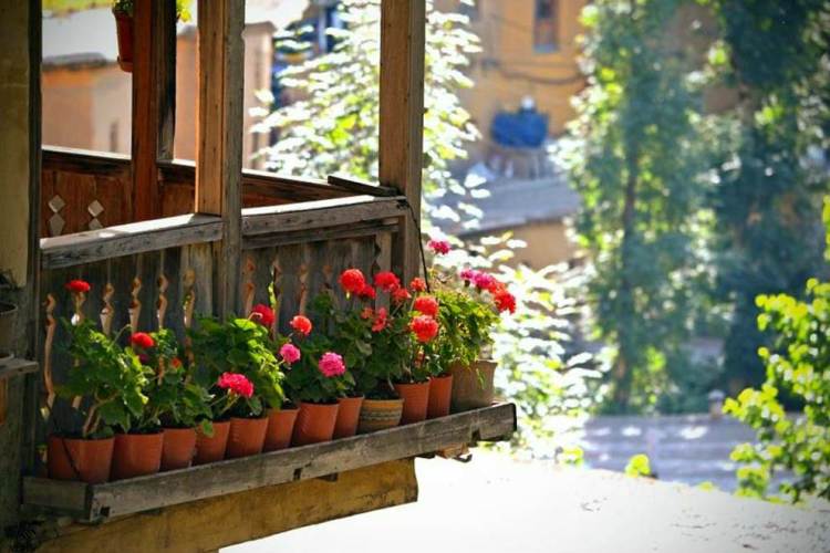 سفرنامه ماسوله، زیبایی شمعدانی ها روی خانه ها