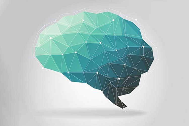 همگام شدن سریع مغز با اطلاعات جدید به چه صورت انجام می‌گیرد؟