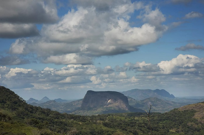 اکتشاف لیکو جنگل افریقا موزامبیک 