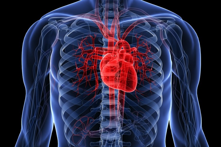 افزایش ریسک حمله قلبی با افزایش آلودگی هوا و آلودگی صوتی